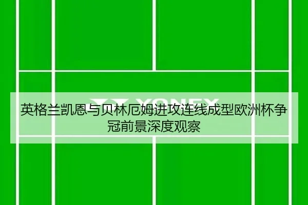 英格兰凯恩与贝林厄姆进攻连线成型欧洲杯争冠前景深度观察